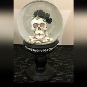 Momento Mori Skull & Black Roses goth decor Santa Muerte water globe